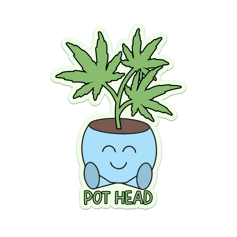 Pot Head Weed Plant
