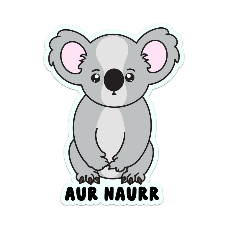 Aur Naurr