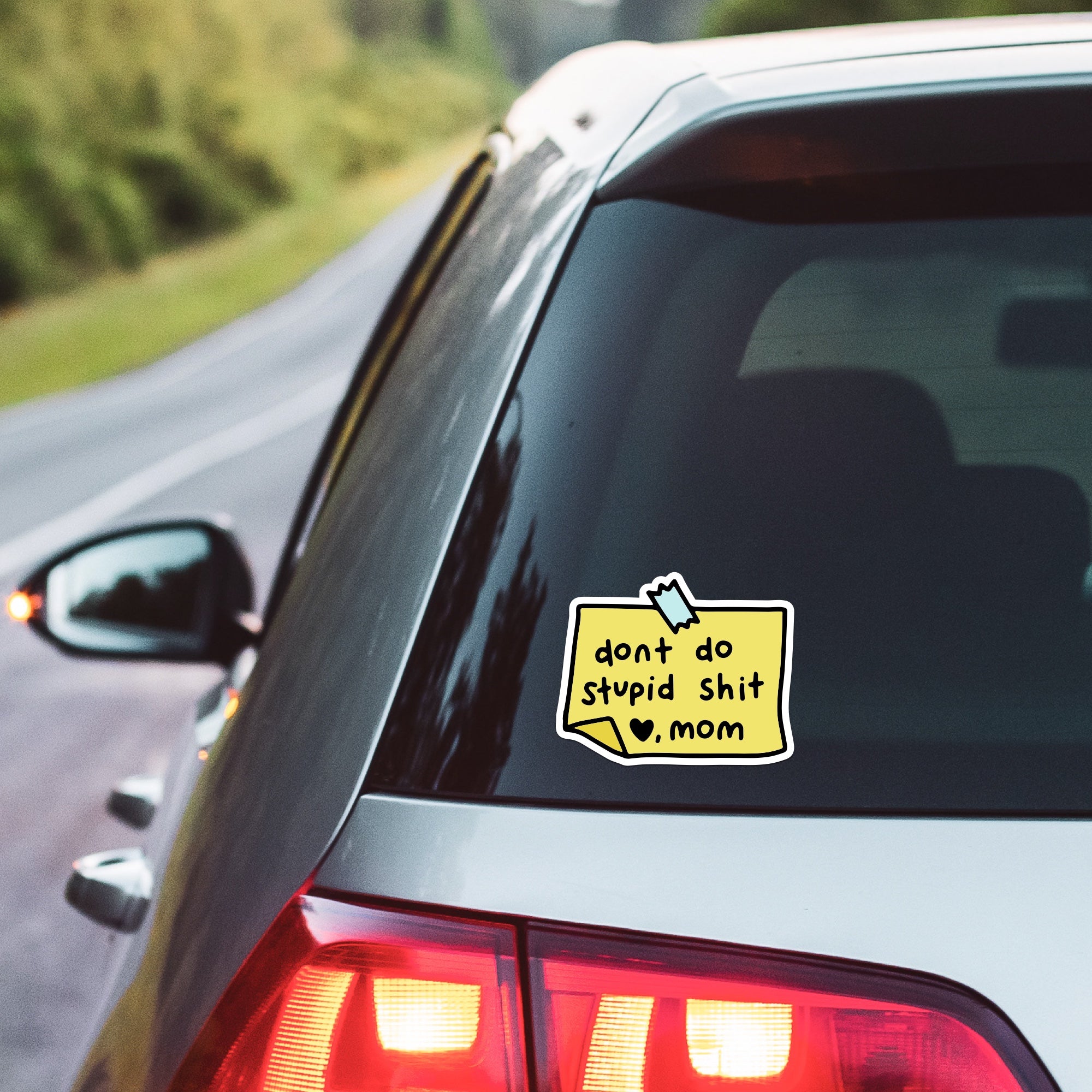 5" Don't Do Stupid Shit Vinyl Sticker