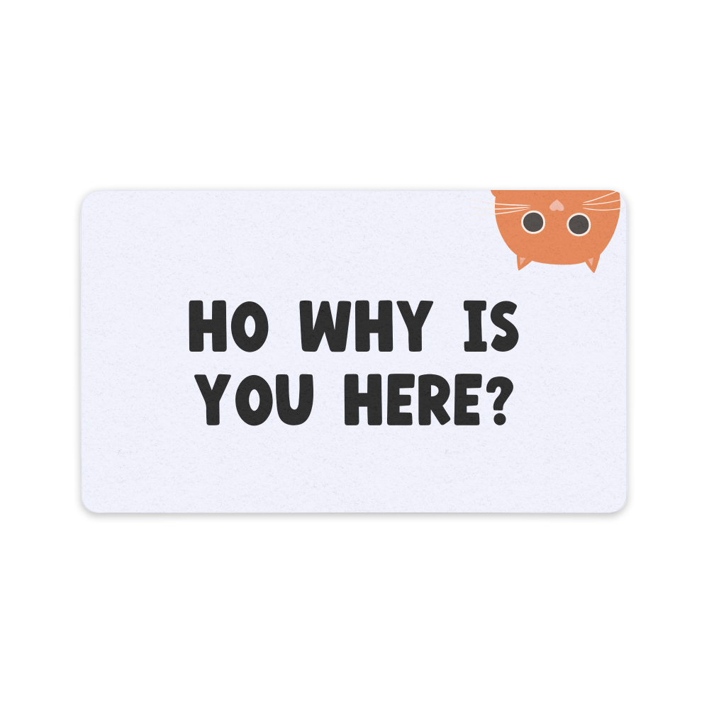 Ho Why Is You Here Doormat