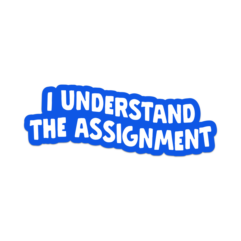 I Understand The Assignment