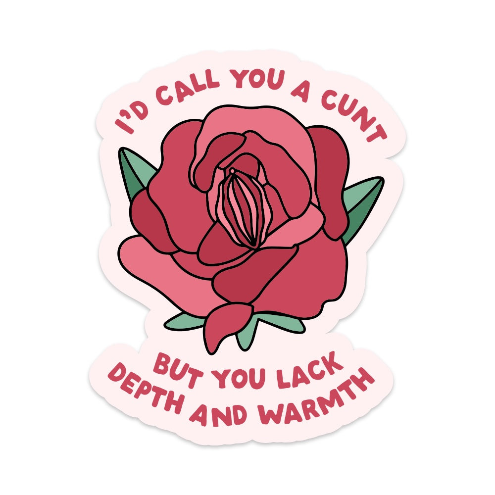 5" I'd Call You a Cunt But You Lack Depth and Warmth Vinyl Sticker
