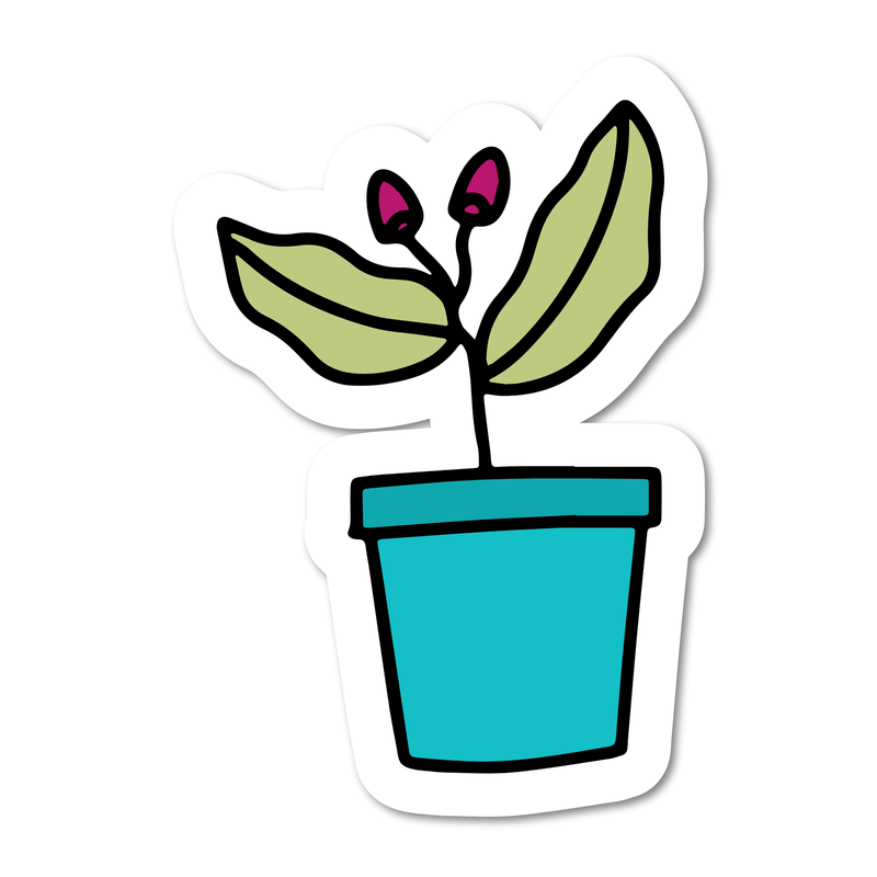 Rose Campion Sticker